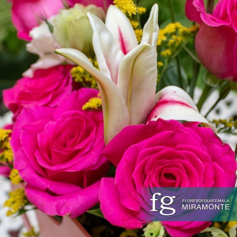 Pink roses and white lilies in a floral arrangement by Flores de Guatemala.