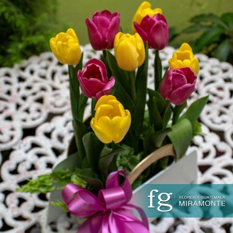 Yellow and magenta tulips presented in a small basket.