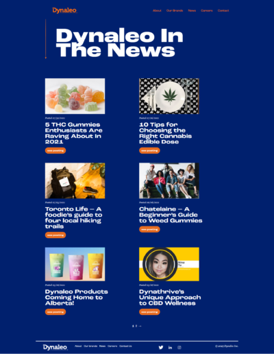 Dynaleo Inc news 03 13 2025 10 49 AM